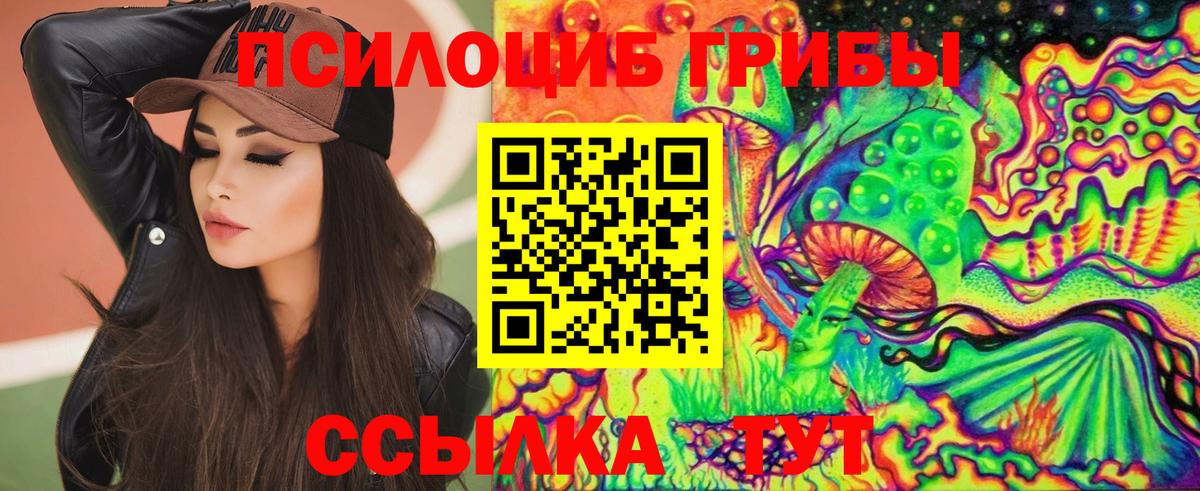 Псилоцибиновые грибы Magic Shrooms  Вход с VPN  Нефтекумск 